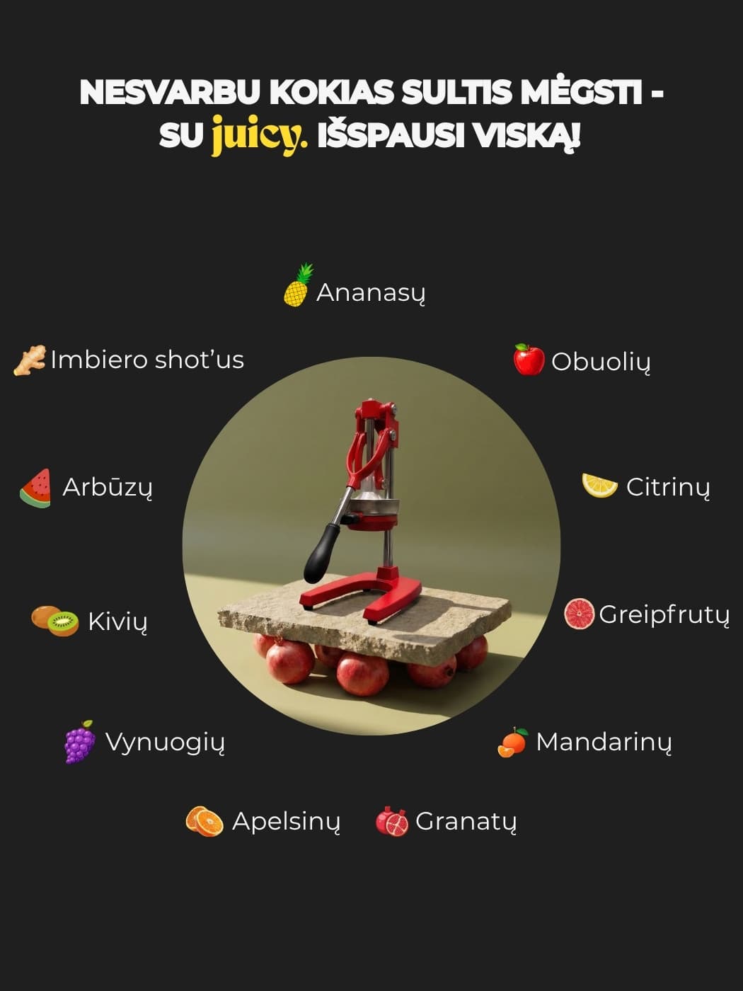 Juicy ketaus ir nerūdijančio plieno sulčiaspaudė